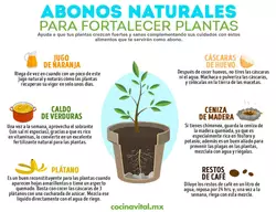 4 Puedes Hacer Un Fertilizante Para Plantas A Partir De Tierra Vieja